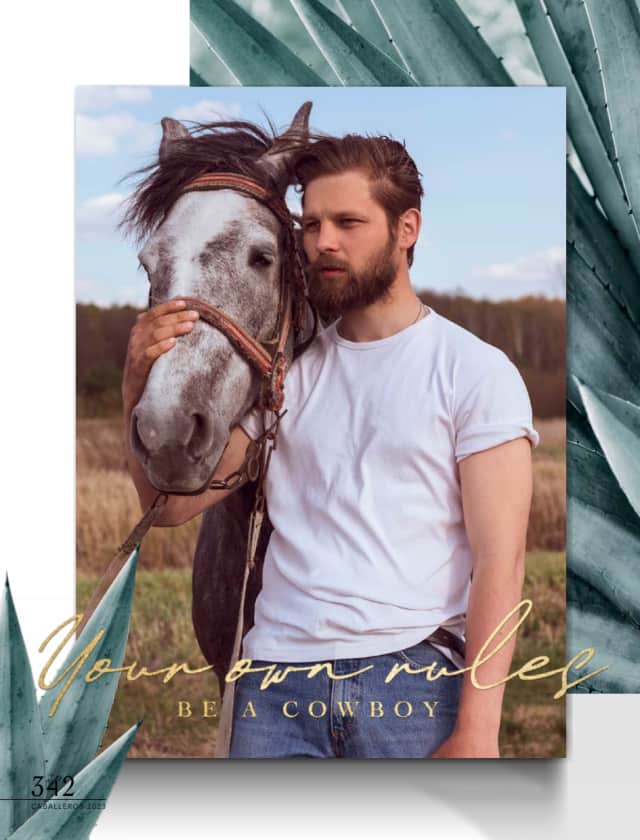 Catálogo  price shoes price shoes caballeros 2023 2024 general  - Price Shoes Caballeros 2023-2024