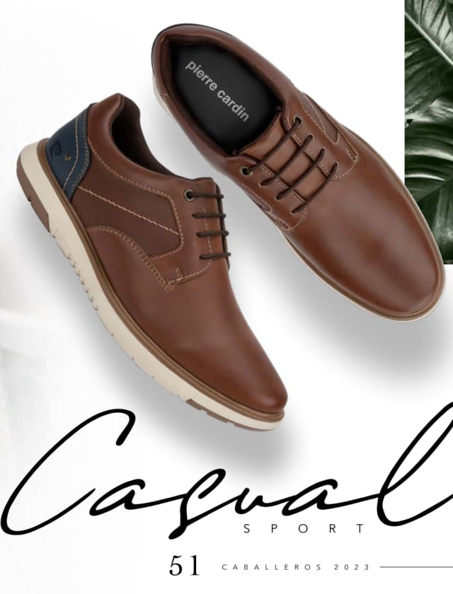 Catálogo  price shoes Pierre Cardin general  - Price Shoes Caballeros 2023-2024
